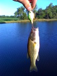 Thoughts on rod balancing. - Fishing Rods, Reels, Line, and Knots - Bass  Fishing Forums