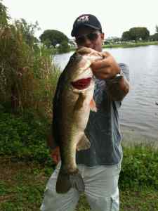 8lb Large Mouth 27inches long