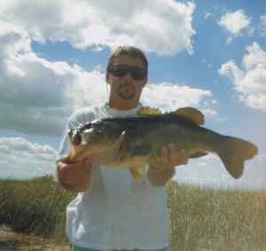 12 Lb Largemouth (Everglades)