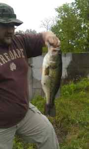 kyle And monster bass