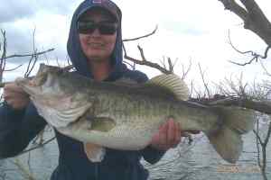 Strike King Rage Thumper Bass