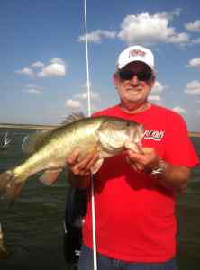 Vicious Largemouth Bass