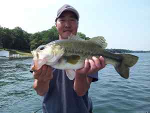 large mouth bass with nice fin display