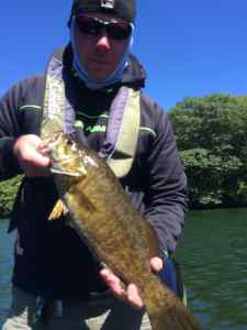 4.8lb Smallie on Candlewood 9/7/14