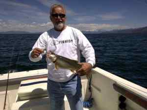 A small lake trout from the depths of Lake Tahoe