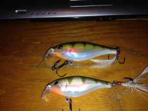 NNP Rapala 1