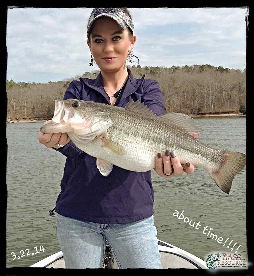 tnlakegirl Pickwick Lake catches