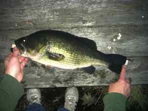 6 1 largemouth On chatterbait  #4 5 3 14