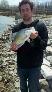 crappie