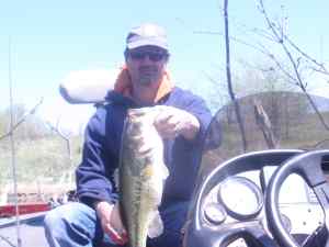 Decent bass at Mozingo, May 2014