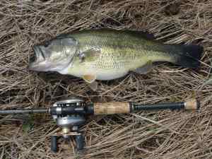 Nice fish, Bilby Ranch, Spring 2011