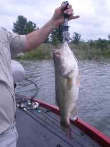 Smithville Bass Weight 06-08-2014