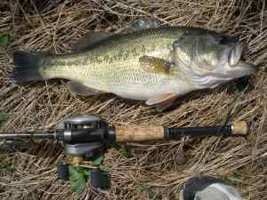 Nice Fish - Bilby Ranch Spring 2011