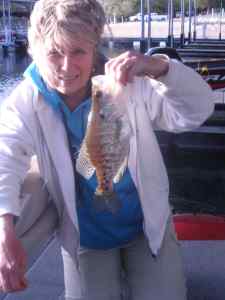 Crappie in late April, 2014, on the Rock