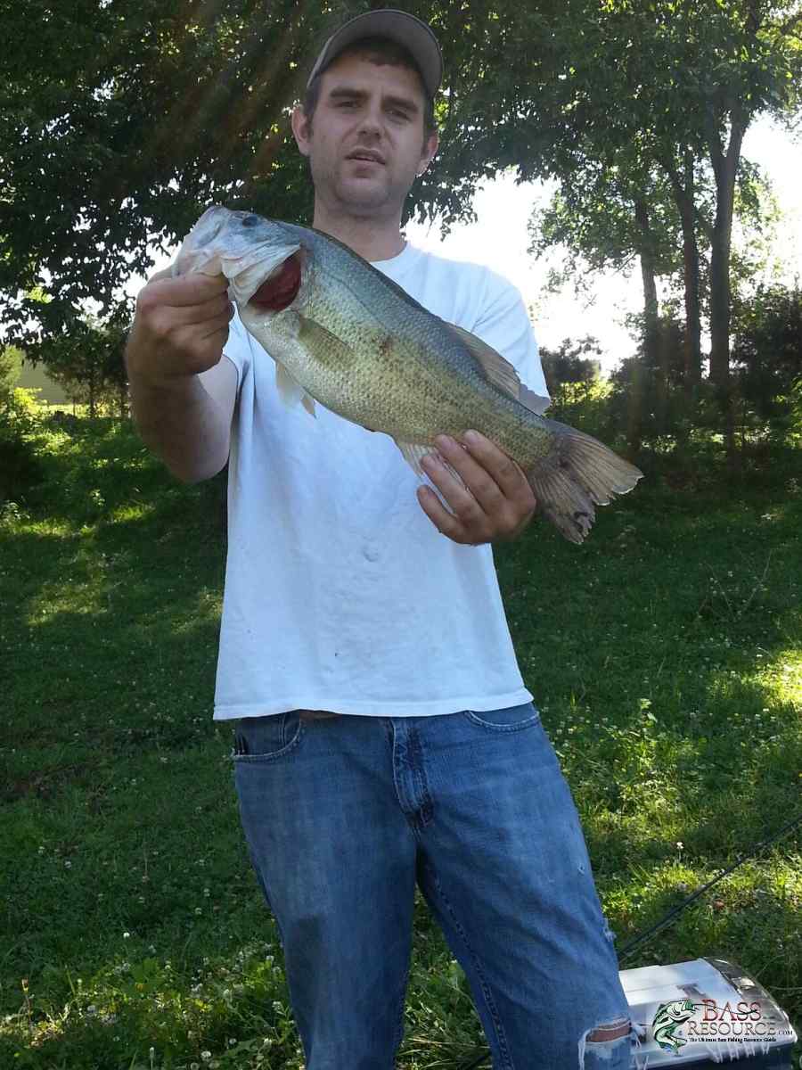 Pond catches