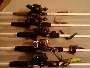 Just a few of my reels on Ice