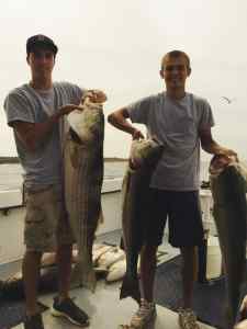 50 Lb. Striper (8/6/14)