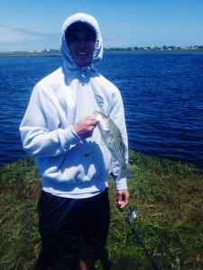 Nice little Striper on a chrome spoon