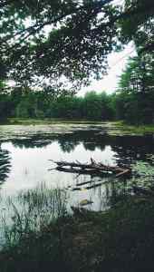 Fishing Spot In Southern New Hampshire