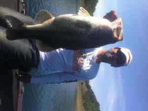 Swimbait largemouth