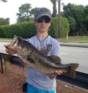 5 lb Bass