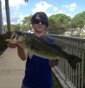 4 lb spawning bass