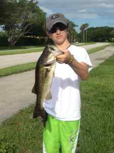 4 lb Bass