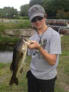 3 lb Bass