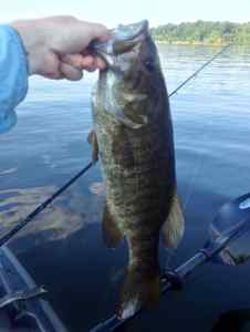 PB Smallmouth