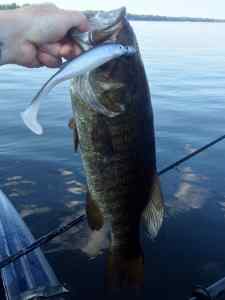 PB smallmouth