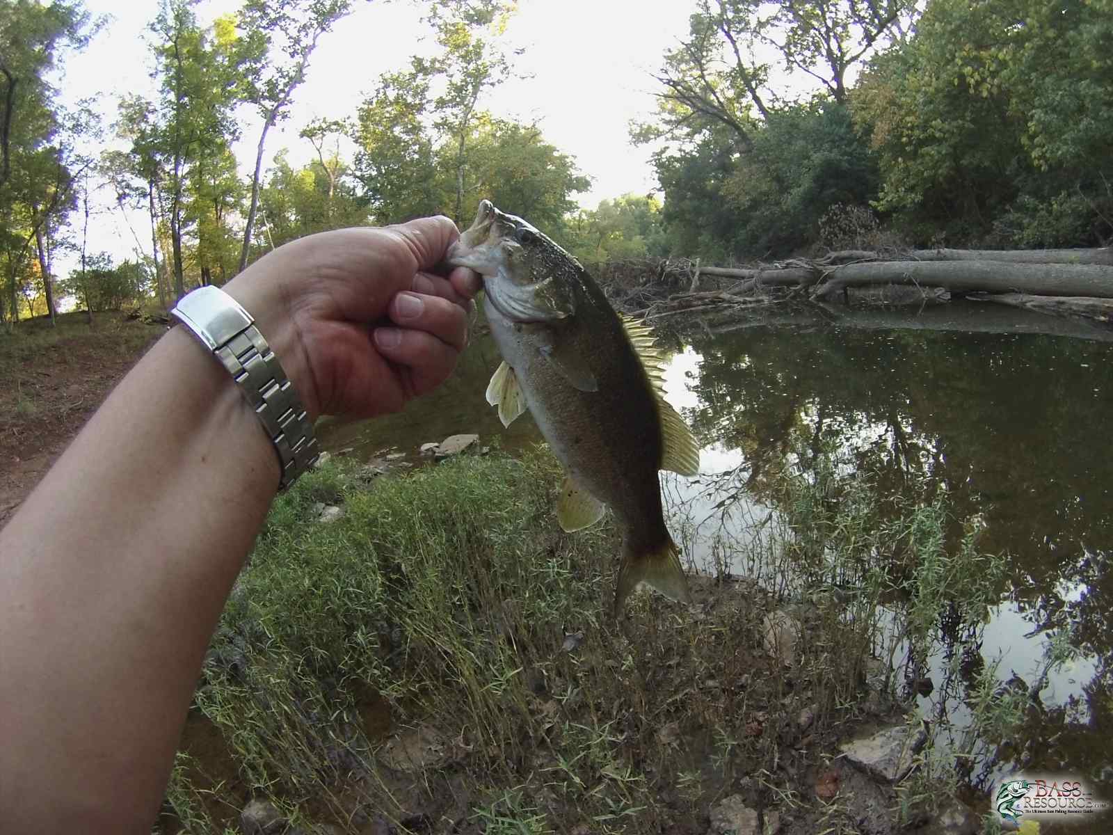 Smallmouth