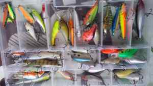 Crank Baits