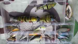 Lipless & Swim Baits