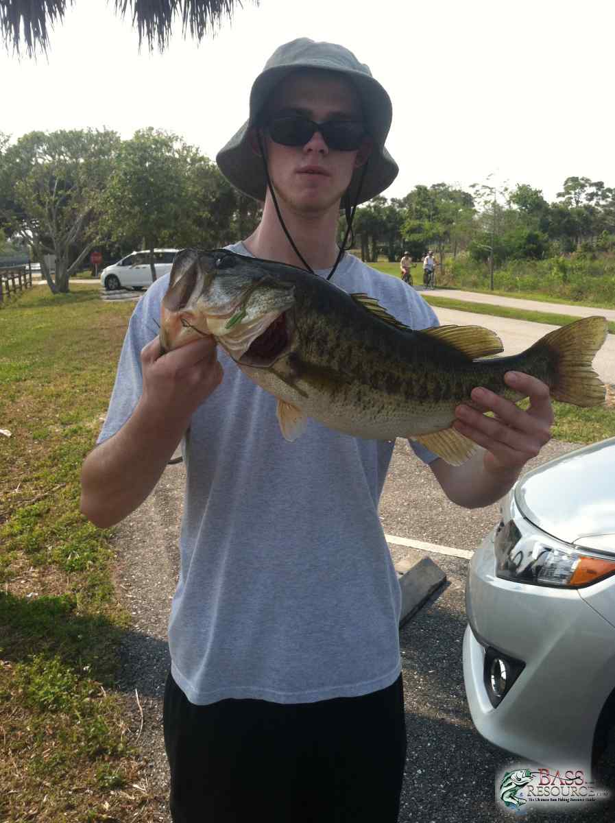 Florida Bass