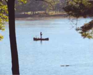 Wayne On Spring Lake