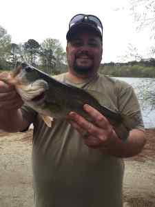 Bass Fishing