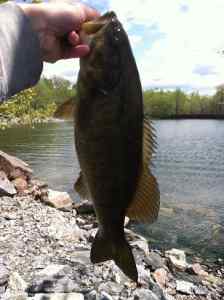 Smallie 1