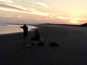 Red Drum Surf Fishing Outer Banks N.C.