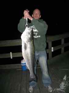 35# striped bass NJ