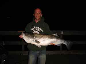 35# striped bass NJ