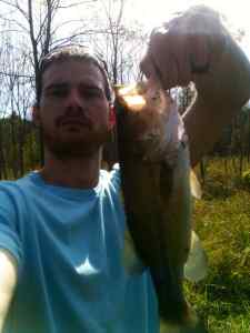 Fall bass