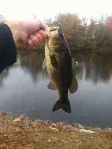 crankbait1