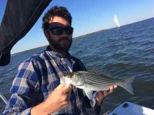 striper3