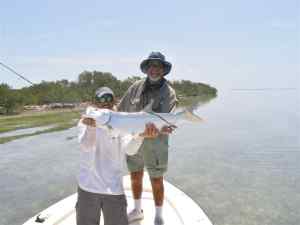 Backwater juvenile tarpon