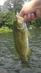 New Jersey Smallmouth