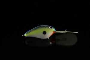 Chartreuse Shad