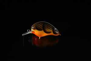 Fleeing Orange-Belly Craw