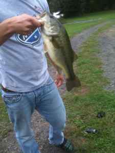 3lb 3oz