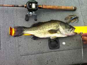 4lber 8-4-12