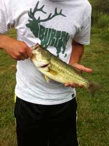 2lb 2oz